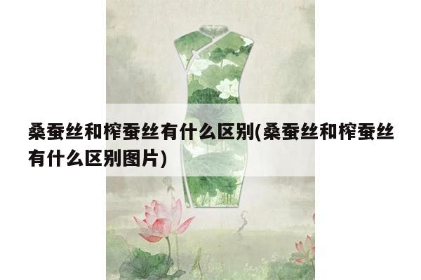 桑蚕丝和榨蚕丝有什么区别(桑蚕丝和榨蚕丝有什么区别图片)